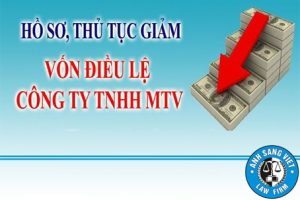 Giam Von Dieu Le Cong Ty TNHH MTV ánh Sáng Việt