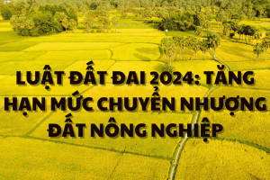 LUẬT ĐẤT ĐAI 2024: TĂNG HẠN MỨC CHUYỂN NHƯỢNG ĐẤT NÔNG NGHIỆP