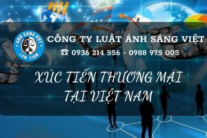 Công Ty Luật Ánh Sáng Việt (2)