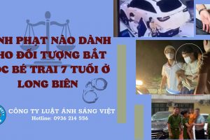 Công Ty Luật Ánh Sáng Việt (4)