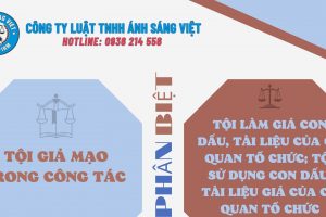 Công Ty Luật Ánh Sáng Việt (6)