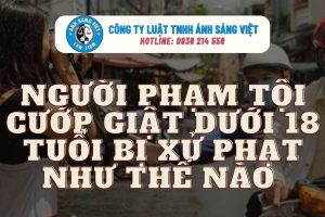 Công Ty Luật Ánh Sáng Việt (8)