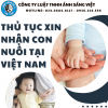 THỦ TỤC XIN NHẬN CON NUÔI TẠI VIỆT NAM