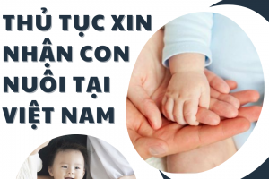 THỦ TỤC XIN NHẬN CON NUÔI TẠI VIỆT NAM