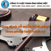 QUY ĐỊNH VỀ MIỄN HÌNH PHẠT THEO PHÁP LUẬT HÌNH SỰ