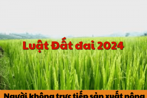 LUẬT ĐẤT ĐAI 2024: NGƯỜI KHÔNG TRỰC TIẾP SẢN XUẤT NÔNG NGHIỆP VẪN ĐƯỢC PHÉP NHẬN CHUYỂN NHƯỢNG ĐẤT TRỒNG LÚA?