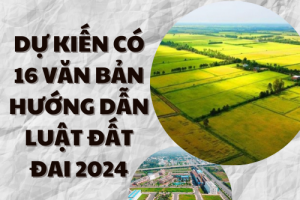 DỰ KIẾN CÓ 16 VĂN BẢN HƯỚNG DẪN LUẬT ĐẤT ĐAI 2024