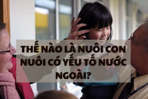 THẾ NÀO LÀ NUÔI CON NUÔI CÓ YẾU TỐ NƯỚC NGOÀI?