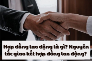 HỢP ĐỒNG LAO ĐỘNG LÀ GÌ? NGUYÊN TẮC GIAO KẾT HỢP ĐỒNG